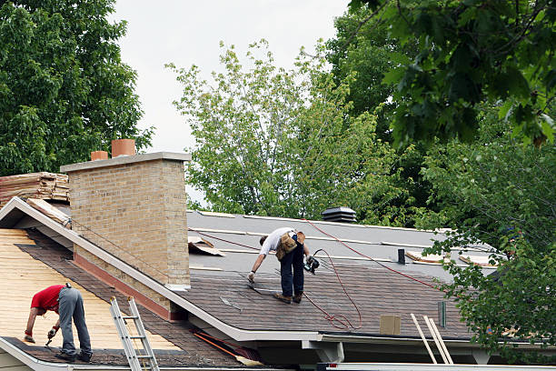 Roof Gutter Cleaning in Fleming Island, FL